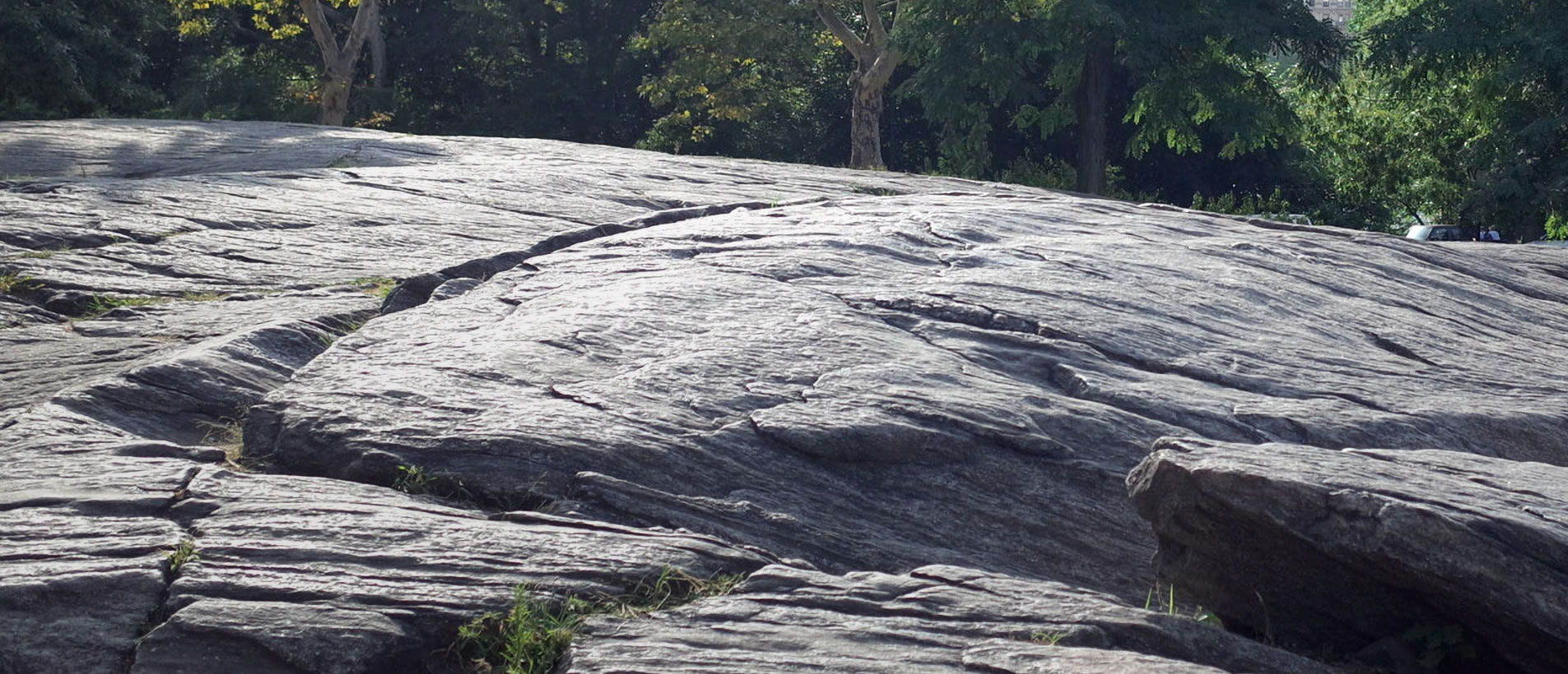 原園有限公司|景觀石材・園藝造景材料・石材批發供應商 原園有限公司|景觀石材・園藝造景材料・石材批發供應商