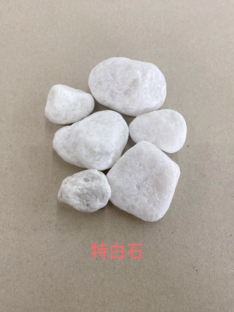 白色卵石與碎石在庭院鋪設中的實際效果